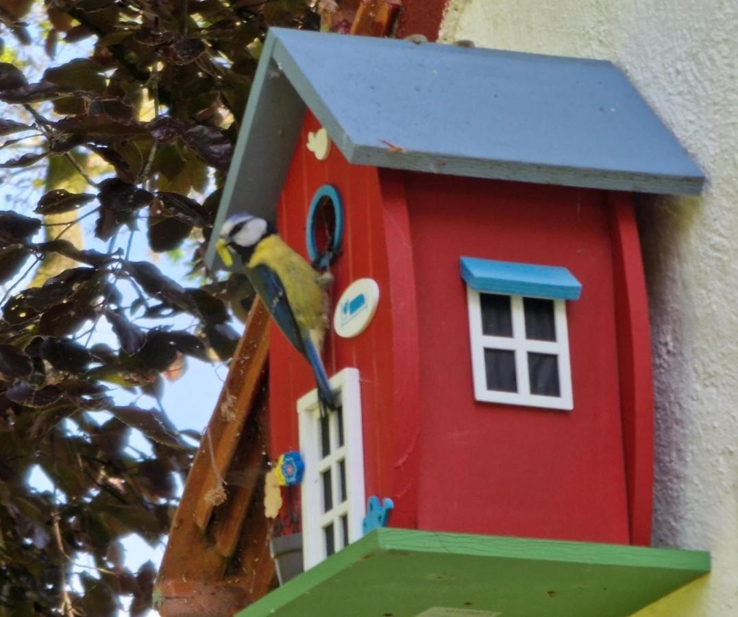 Vakantiewoning 'T Bakhuus Bergentheim Εξωτερικό φωτογραφία
